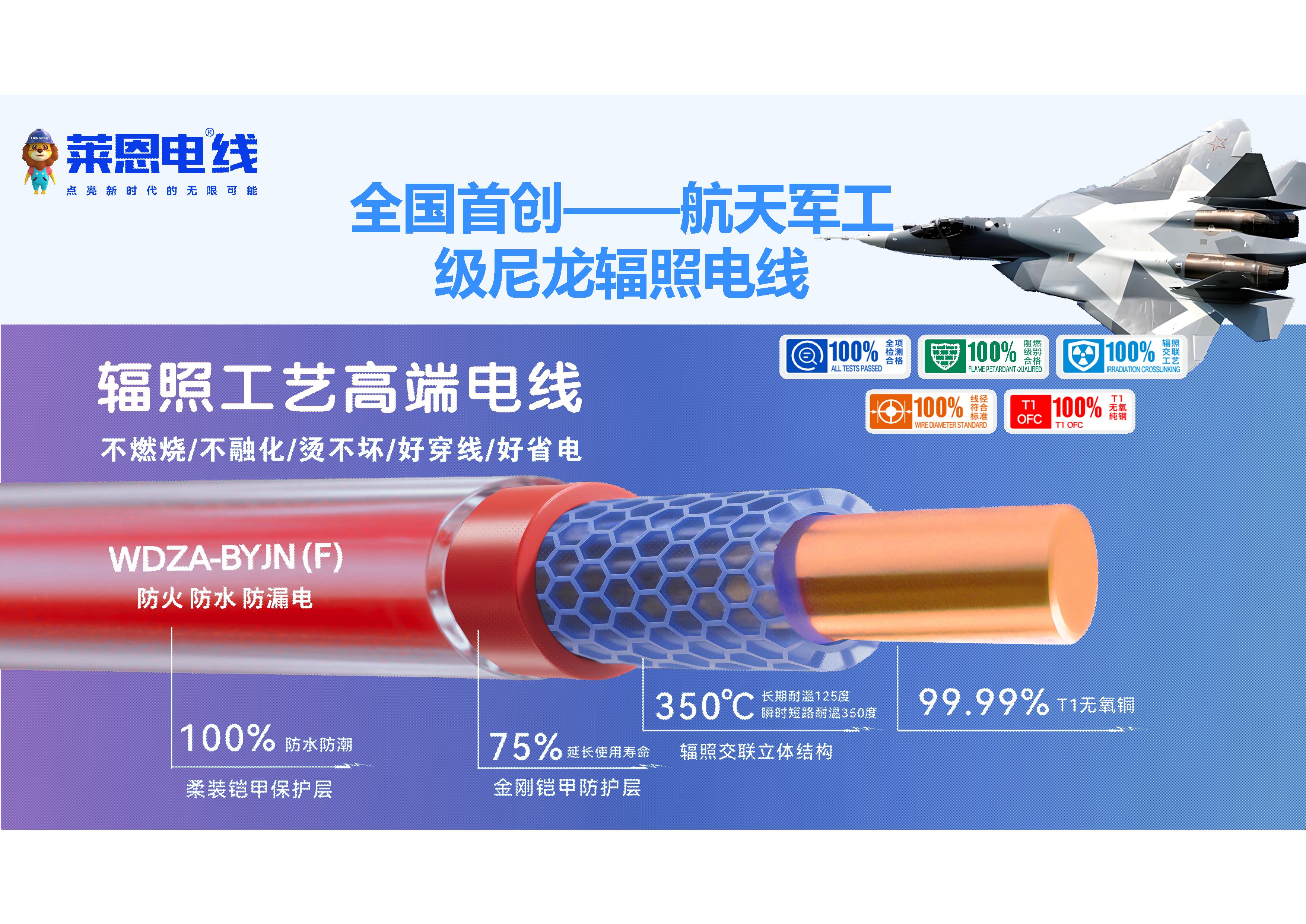 莱恩家装电线 第21页