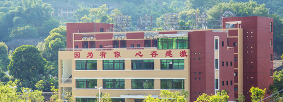 企业发展方针