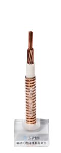 BTTW 0.6/1KV 1X70mm²