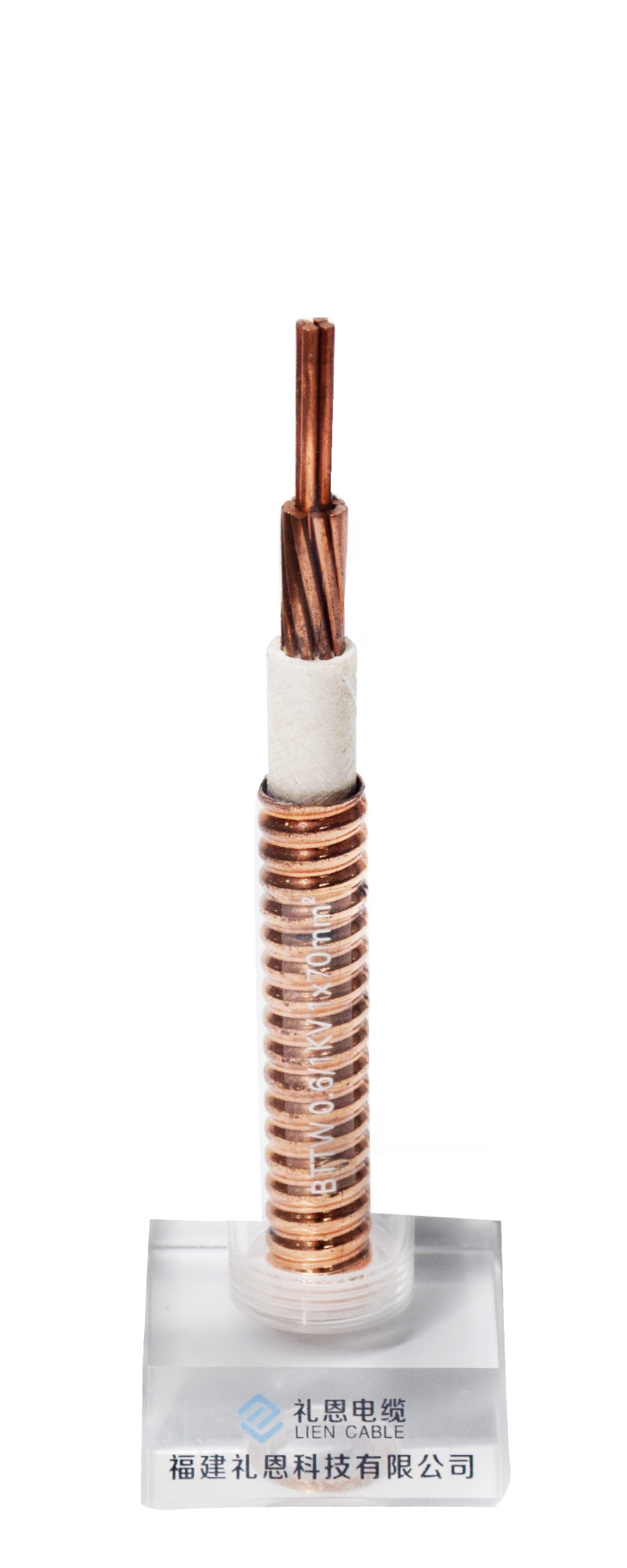 BTTW 0.6/1KV 1X70mm²