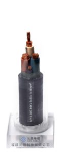 MY 0.38/0.66KV 3X50+1X16mm²